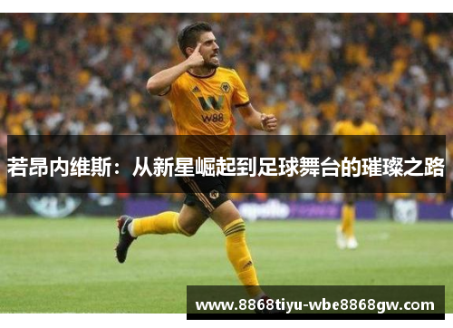 若昂内维斯：从新星崛起到足球舞台的璀璨之路